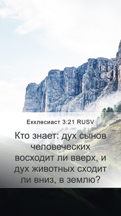 Екклесиаст 3:21 RUSV Bible Verse Image