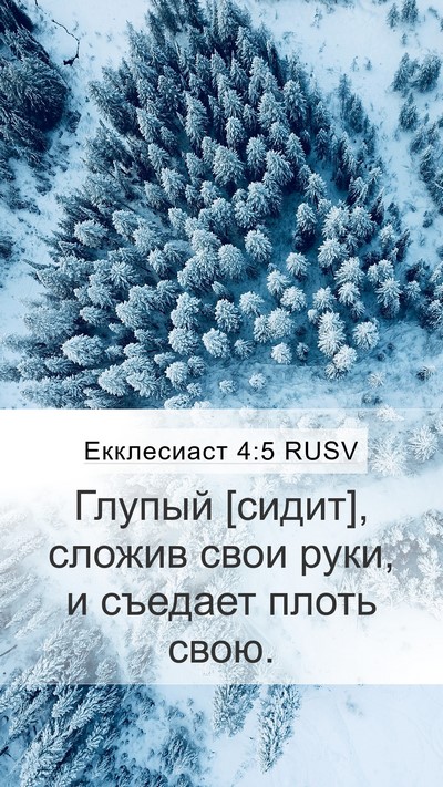 Екклесиаст 4:5 RUSV Bible Verse Image