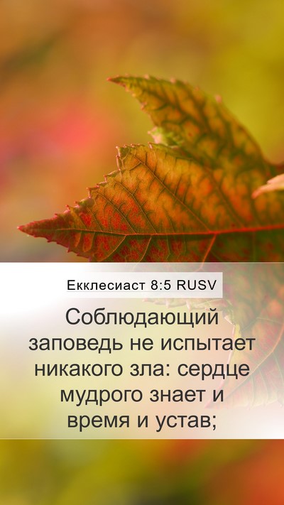 Екклесиаст 8:5 RUSV Bible Verse Image