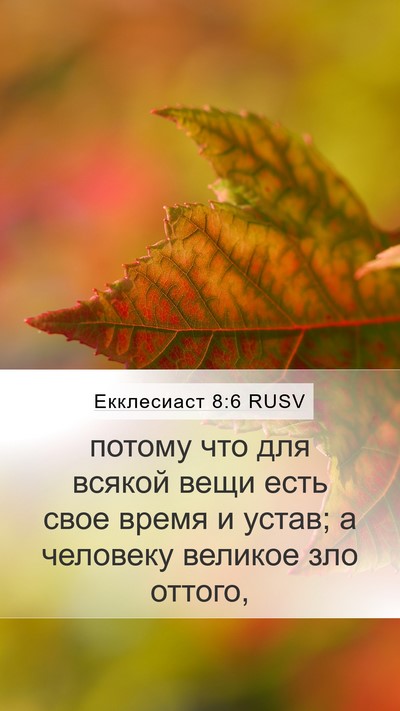 Екклесиаст 8:6 RUSV Mobile Phone Wallpaper - потому что для всякой вещи - Mobile Bible Verse Wallpaper