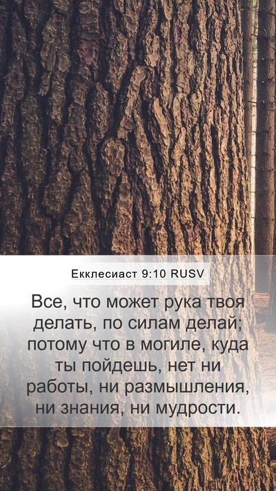 Екклесиаст 9:10 RUSV Bible Verse Image