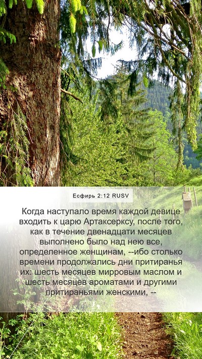 Есфирь 2:12 RUSV Bible Verse Image