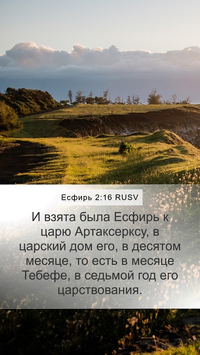 Есфирь 2:16 RUSV Bible Verse Image