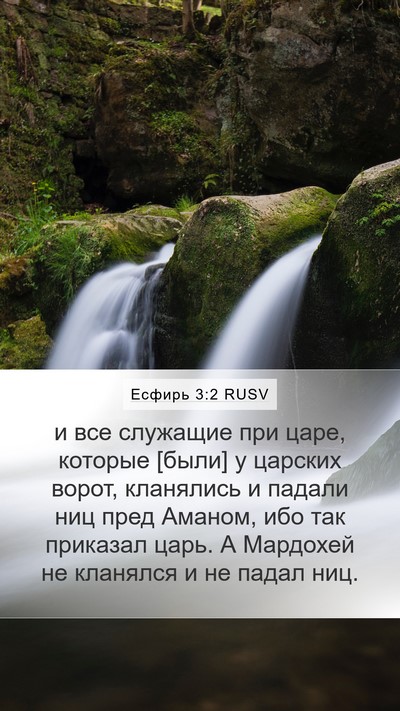 Есфирь 3:2 RUSV Bible Verse Image