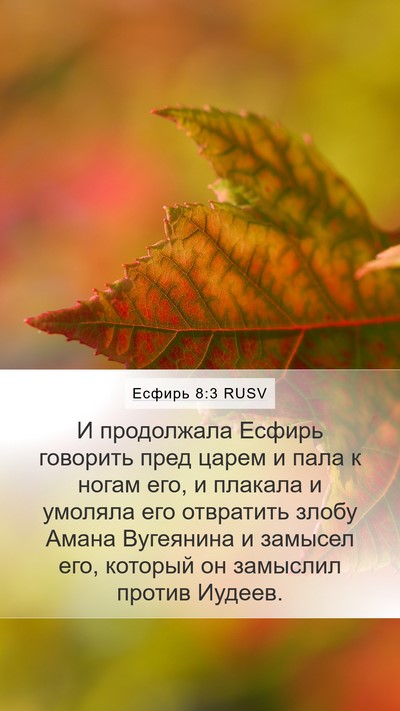 Есфирь 8:3 RUSV Mobile Phone Wallpaper - И продолжала Есфирь - Mobile Bible Verse Wallpaper