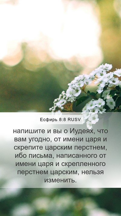 Есфирь 8:8 RUSV Bible Verse Image