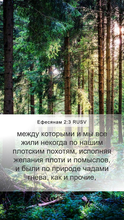 Ефесянам 2:3 RUSV Bible Verse Image