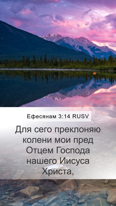 Ефесянам 3:14 RUSV Bible Verse Image