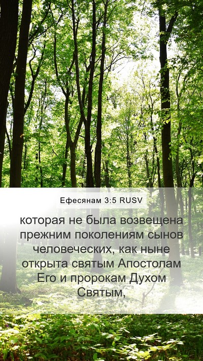 Ефесянам 3:5 RUSV Bible Verse Image