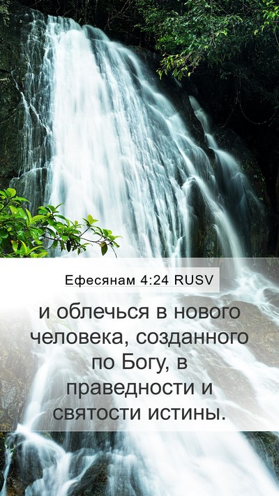 Ефесянам 4:24 RUSV Bible Verse Image
