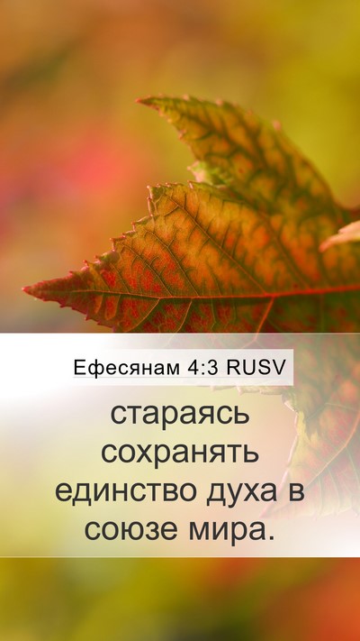 Ефесянам 4:3 RUSV Bible Verse Image