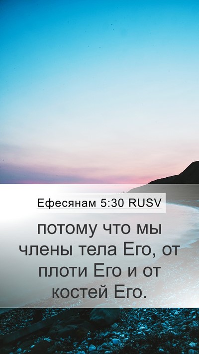 Ефесянам 5:30 RUSV Bible Verse Image