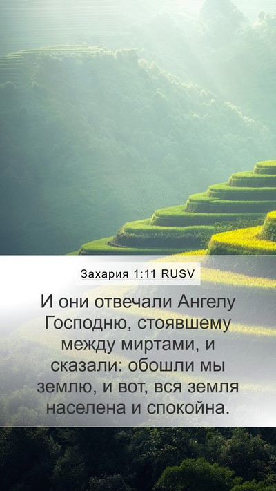 Захария 1:11 RUSV Bible Verse Image