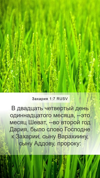 Захария 1:7 RUSV Bible Verse Image