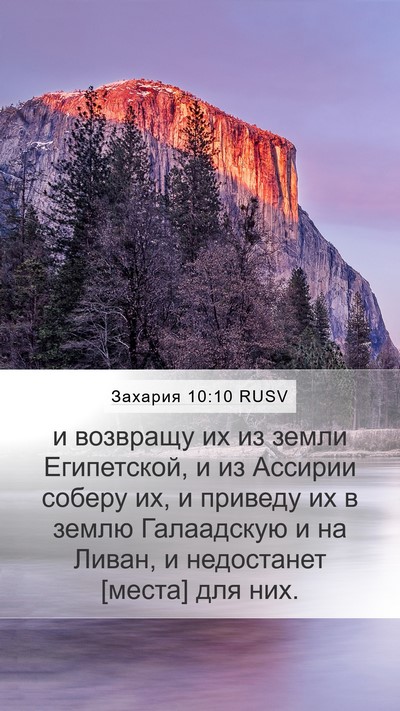 Захария 10:10 RUSV Bible Verse Image