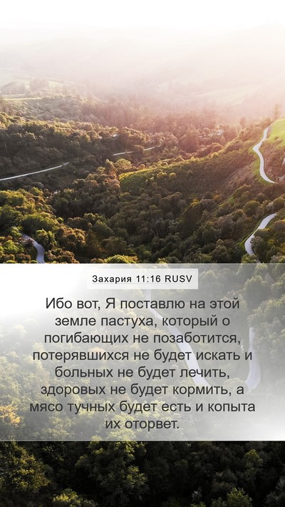 Захария 11:16 RUSV Bible Verse Image