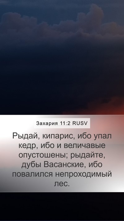 Захария 11:2 RUSV Bible Verse Image