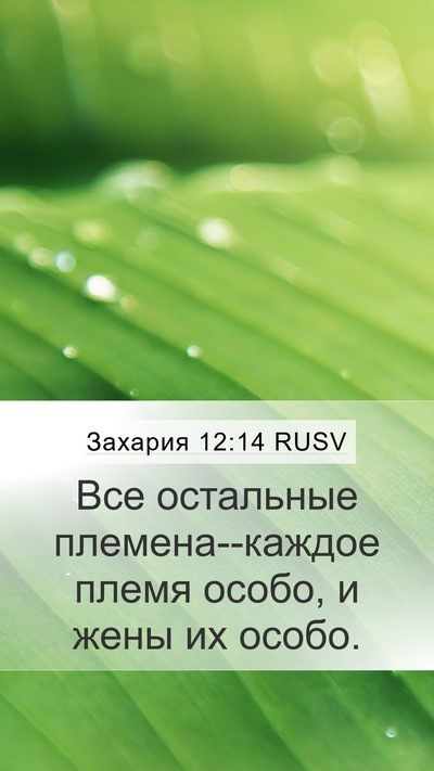 Захария 12:14 RUSV Mobile Phone Wallpaper - Все остальные - Mobile Bible Verse Wallpaper