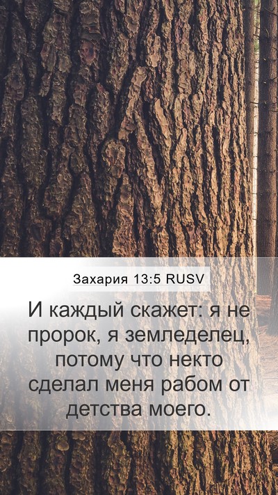 Захария 13:5 RUSV Mobile Phone Wallpaper - И каждый скажет: я не - Mobile Bible Verse Wallpaper