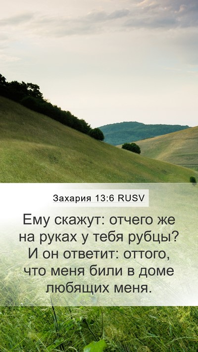 Захария 13:6 RUSV Mobile Phone Wallpaper - Ему скажут: отчего же на - Mobile Bible Verse Wallpaper