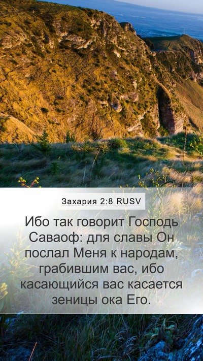 Захария 2:8 RUSV Bible Verse Image