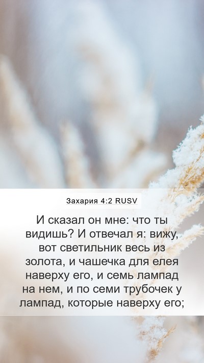 Захария 4:2 RUSV Bible Verse Image