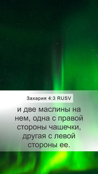 Захария 4:3 RUSV Mobile Phone Wallpaper - и две маслины на нем, одна с - Mobile Bible Verse Wallpaper