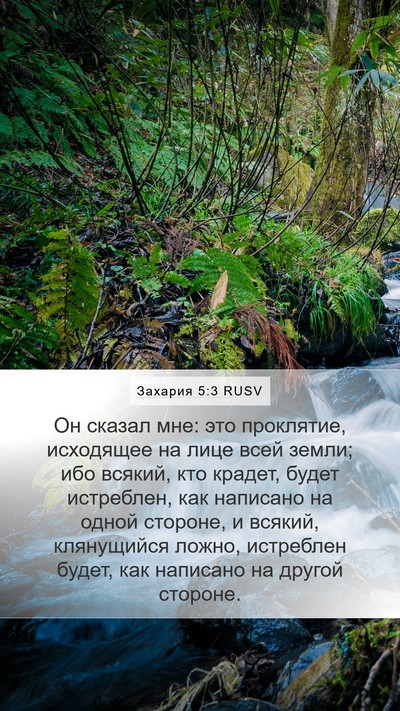 Захария 5:3 RUSV Bible Verse Image