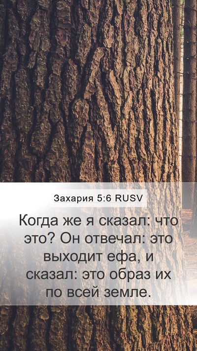 Захария 5:6 RUSV Bible Verse Image