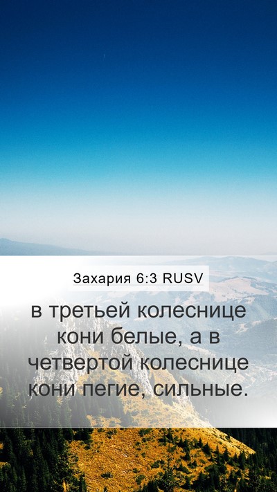 Захария 6:3 RUSV Bible Verse Image