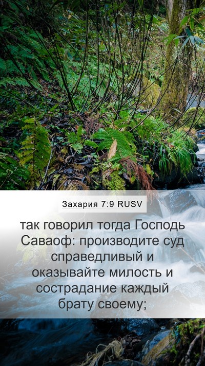Захария 7:9 RUSV Bible Verse Image