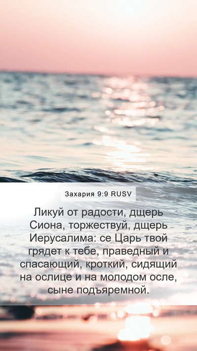 Захария 9:9 RUSV Bible Verse Image