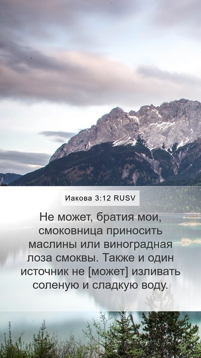Иакова 3:12 RUSV Bible Verse Image