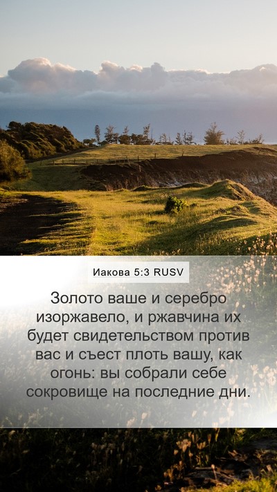 Иакова 5:3 RUSV Bible Verse Image