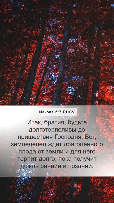 Иакова 5:7 RUSV Bible Verse Image