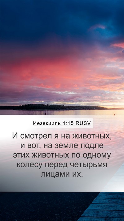 Иезекииль 1:15 RUSV Bible Verse Image