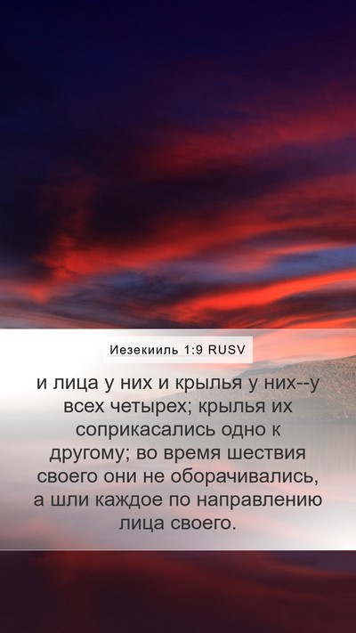 Иезекииль 1:9 RUSV Bible Verse Image