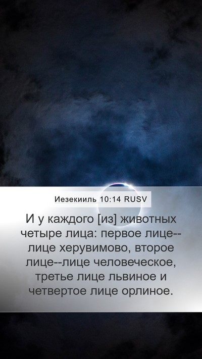 Иезекииль 10:14 RUSV Bible Verse Image