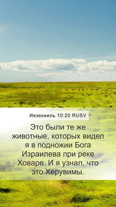 Иезекииль 10:20 RUSV Bible Verse Image