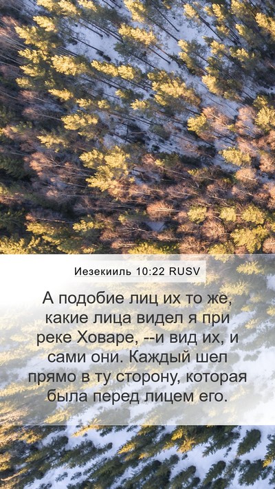 Иезекииль 10:22 RUSV Bible Verse Image