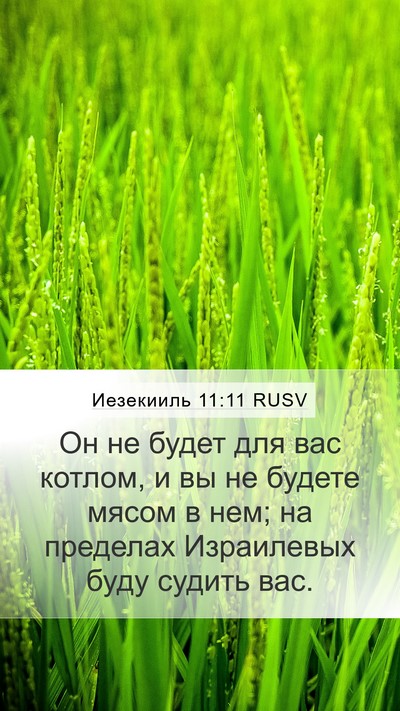 Иезекииль 11:11 RUSV Mobile Phone Wallpaper - Он не будет для вас котлом, - Mobile Bible Verse Wallpaper