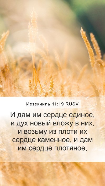 Иезекииль 11:19 RUSV Bible Verse Image