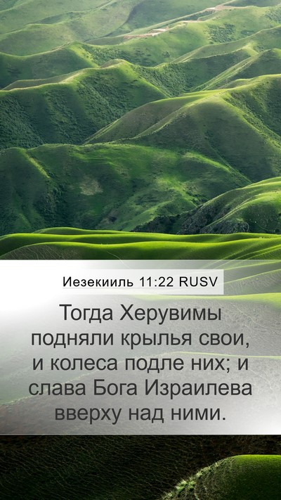 Иезекииль 11:22 RUSV Bible Verse Image