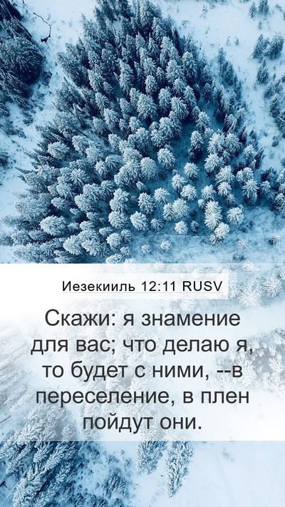 Иезекииль 12:11 RUSV Bible Verse Image