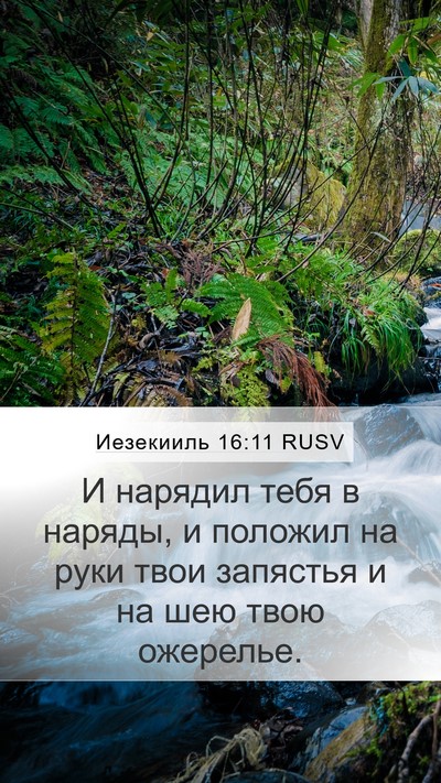 Иезекииль 16:11 RUSV Bible Verse Image