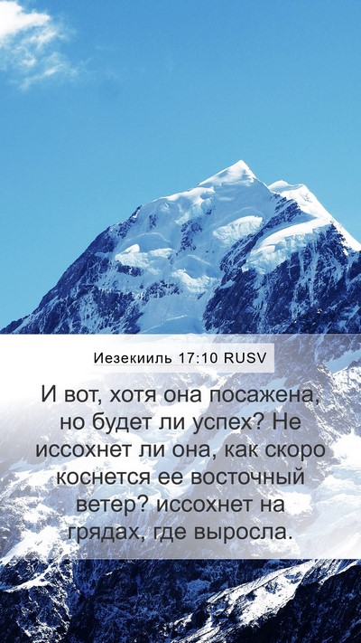 Иезекииль 17:10 RUSV Bible Verse Image