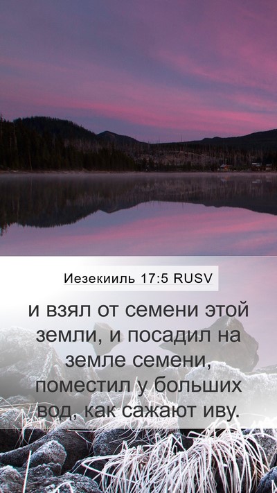 Иезекииль 17:5 RUSV Bible Verse Image