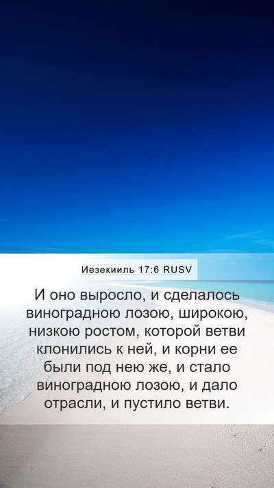 Иезекииль 17:6 RUSV Mobile Phone Wallpaper - И оно выросло, и сделалось - Mobile Bible Verse Wallpaper
