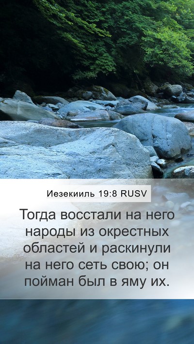 Иезекииль 19:8 RUSV Bible Verse Image