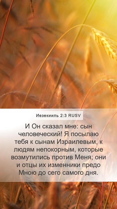Иезекииль 2:3 RUSV Bible Verse Image
